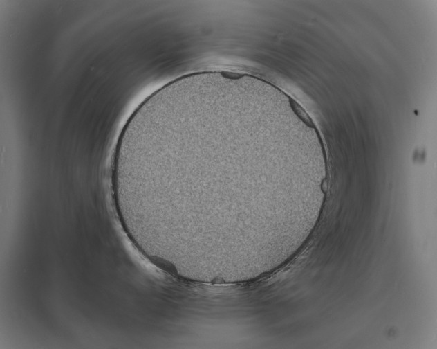 X0000097621152200803281031