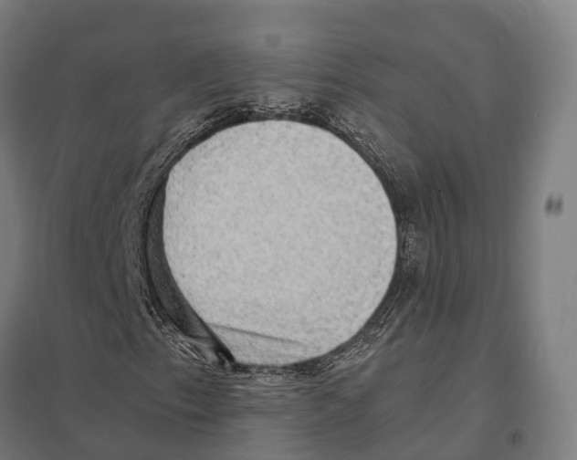 X0000097621153200803281030