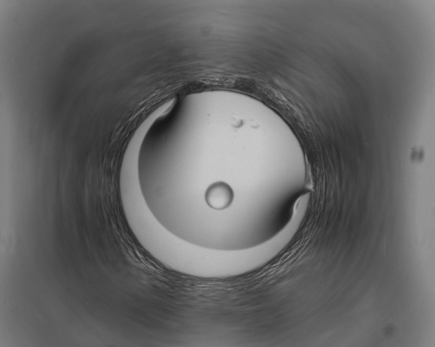 X0000097621154200803281030