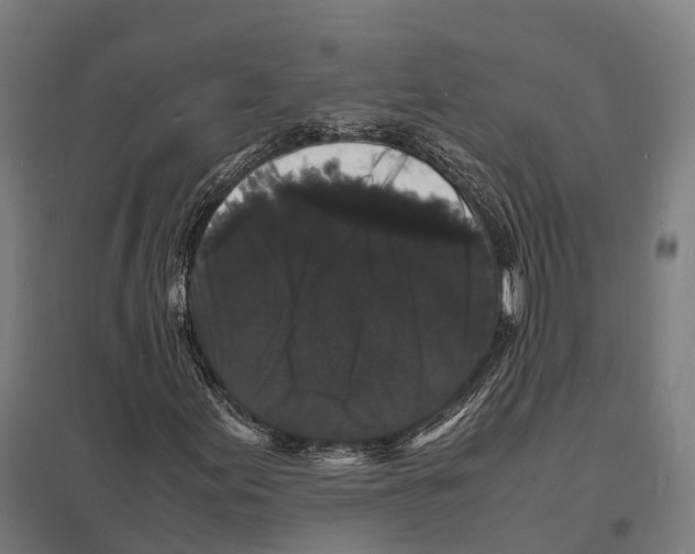 X0000097621155200803281030