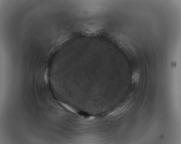 X0000097621156200803281030