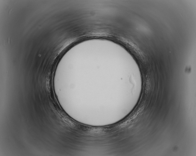 X0000097621162200803281030