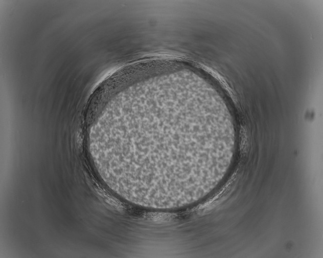 X0000097621163200803281030