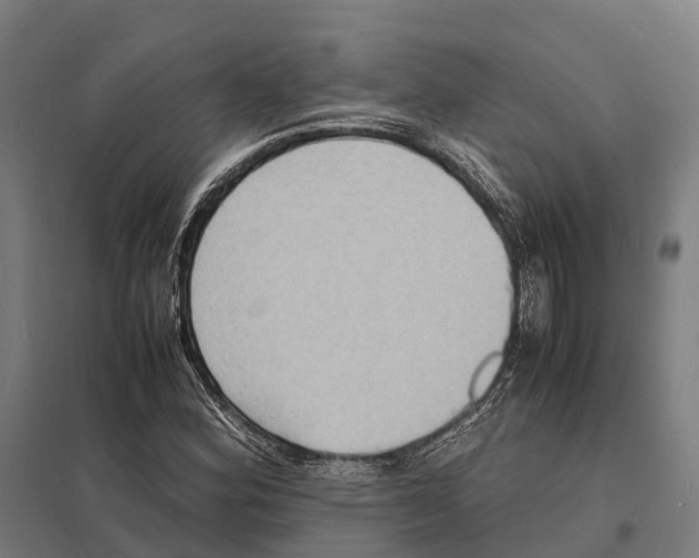 X0000097621164200803281030