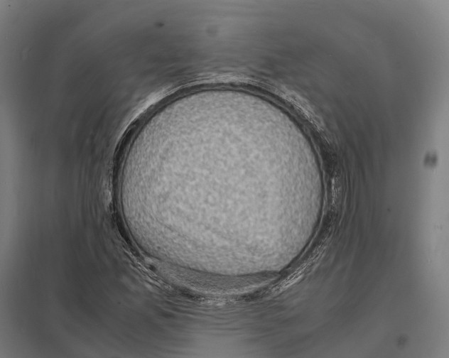 X0000097621165200803281030