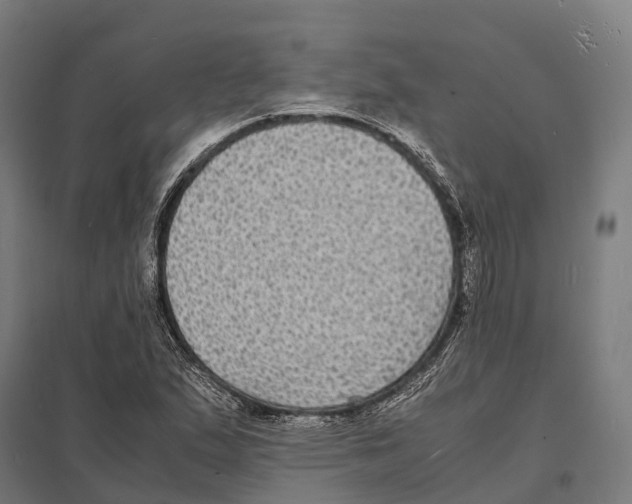 X0000097621167200803281030