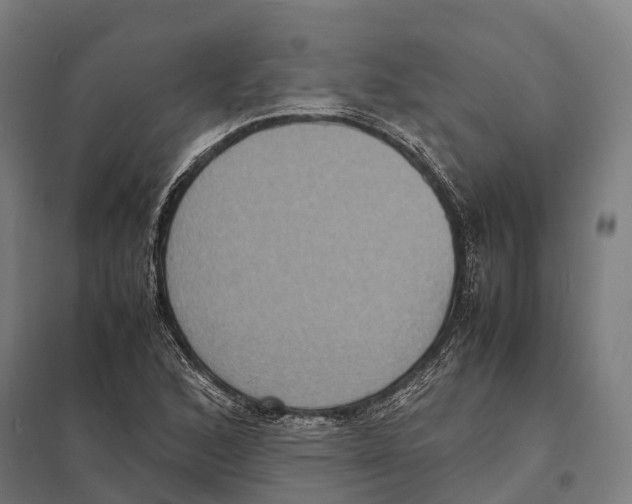 X0000097621168200803281030