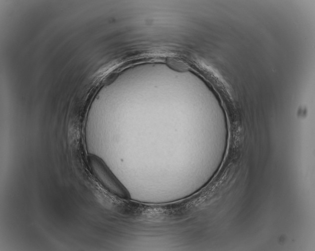 X0000097621169200803281030
