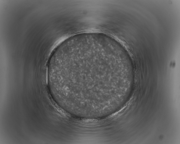 X0000097621171200803281030