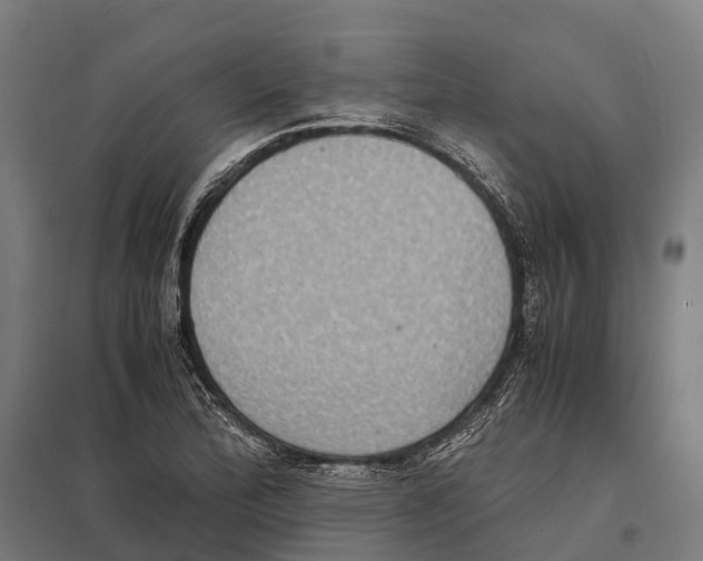 X0000097621172200803281030