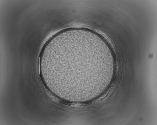 X0000097621175200803281030