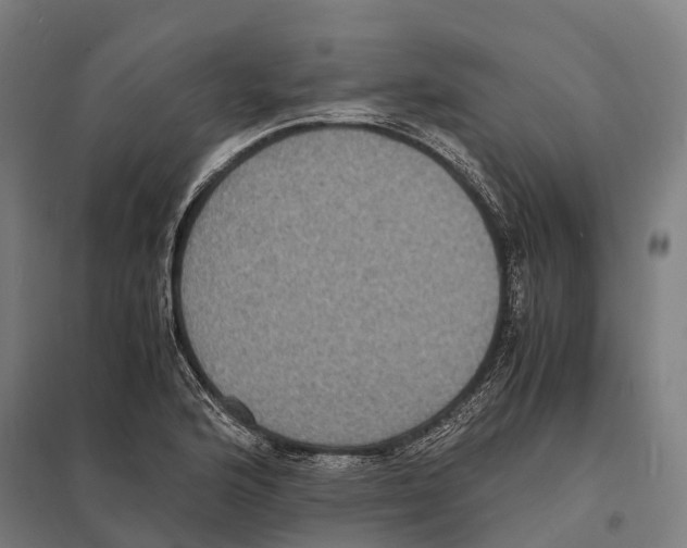 X0000097621176200803281030