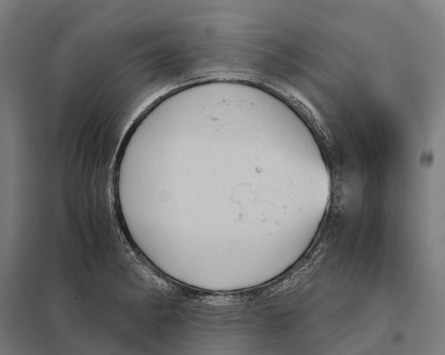 X0000097621182200803281030