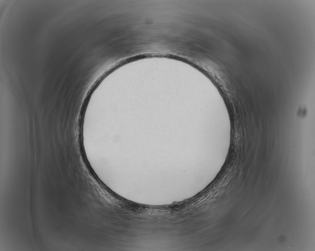 X0000097621183200803281030