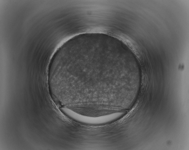 X0000097621184200803281030