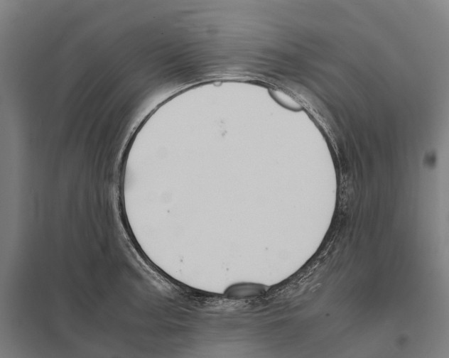 X0000097621187200803281029