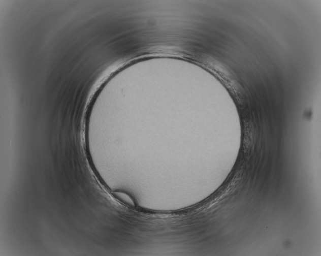 X0000097621188200803281029