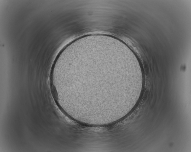 X0000097621189200803281029