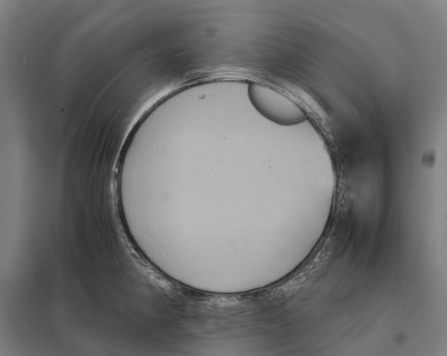X0000097621190200803281029