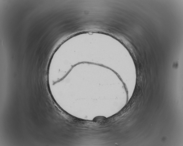 X0000097621191200803281029