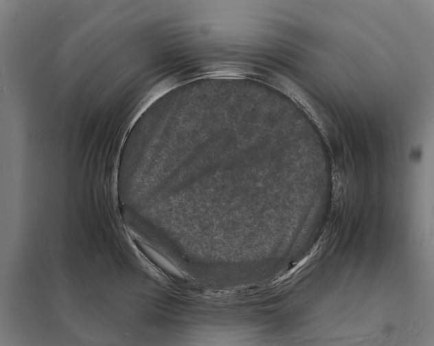 X0000097621194200803281029