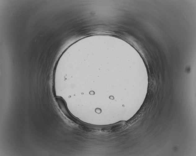 X0000097621195200803281029