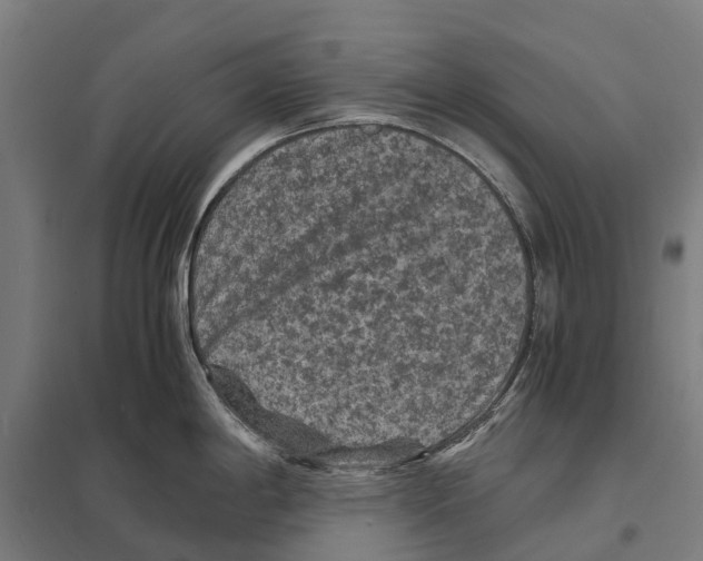 X0000097621198200803281029