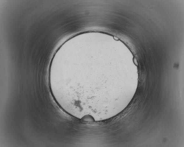 X0000097621199200803281029