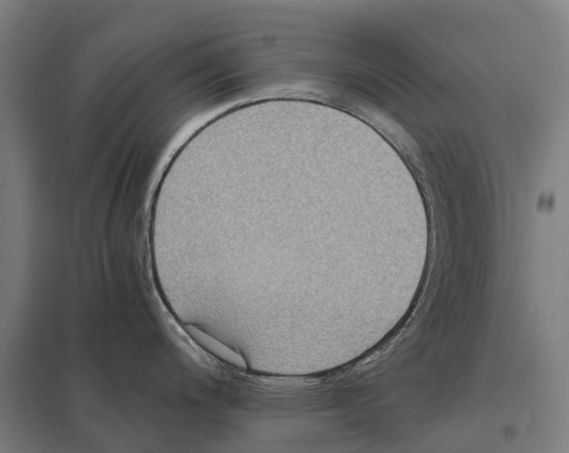 X0000097621200200803281029