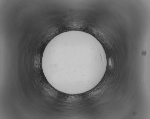 X0000097621203200803281029