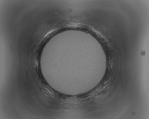 X0000097621206200803281029