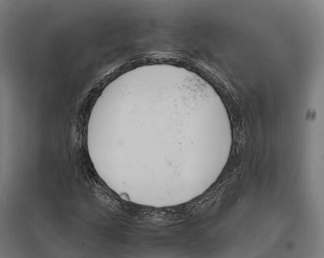 X0000097621207200803281029
