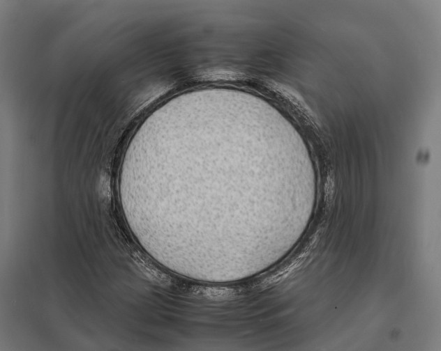 X0000097621209200803281029
