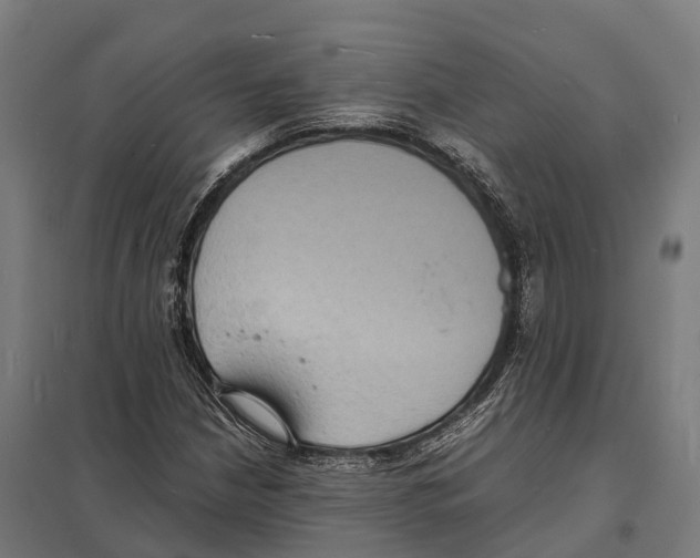 X0000097621210200803281029