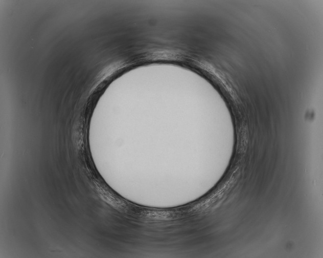 X0000097621211200803281029
