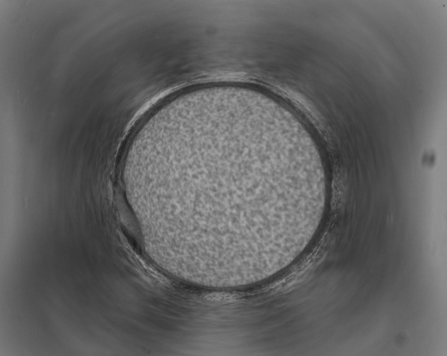 X0000097621212200803281029