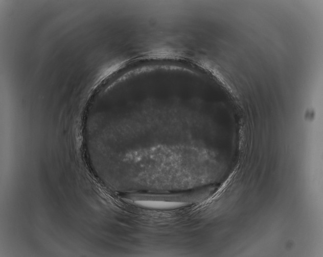X0000097621213200803281029