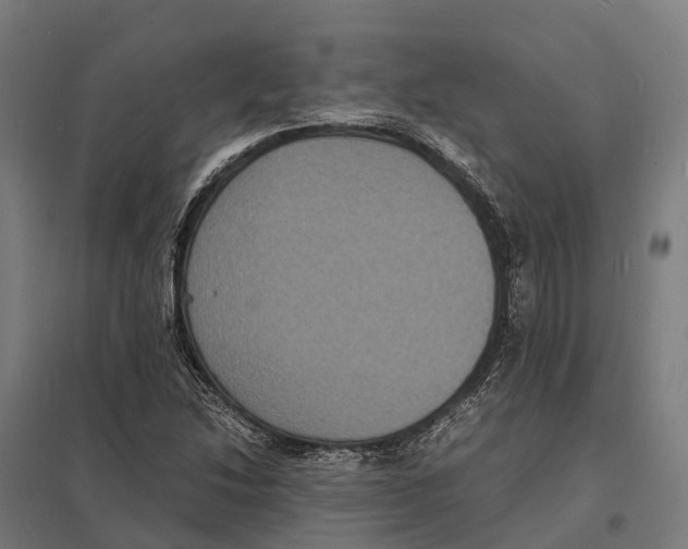 X0000097621214200803281029