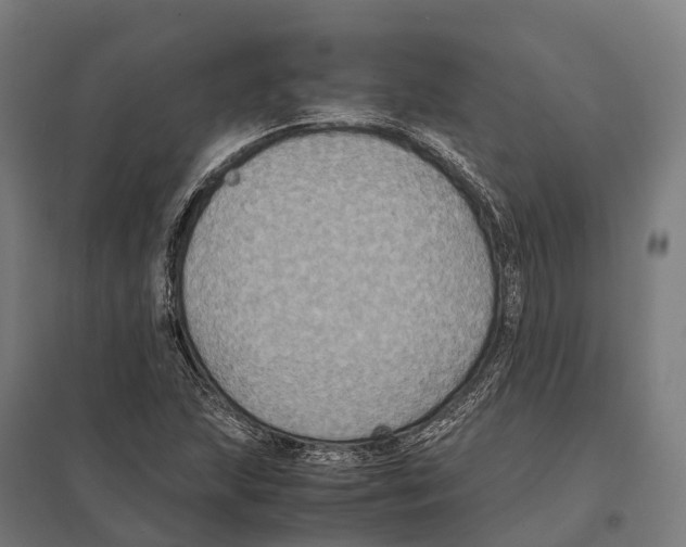 X0000097621215200803281029