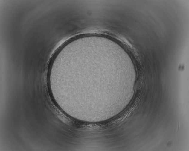 X0000097621216200803281029