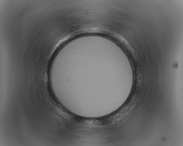 X0000097621218200803281029