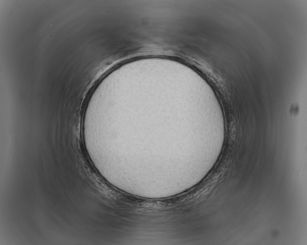 X0000097621220200803281029