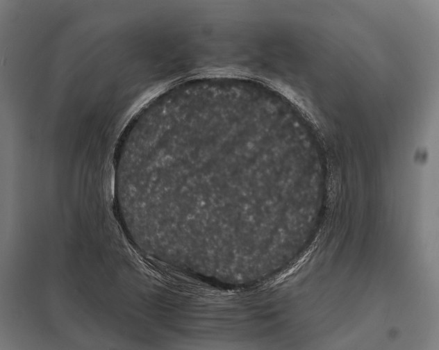X0000097621221200803281029