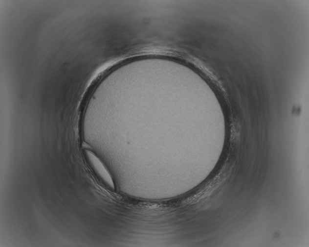 X0000097621222200803281029