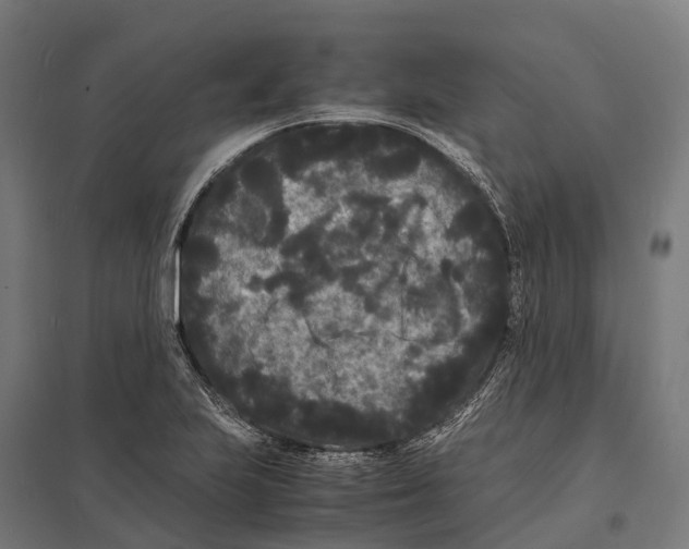 X0000097621223200803281029