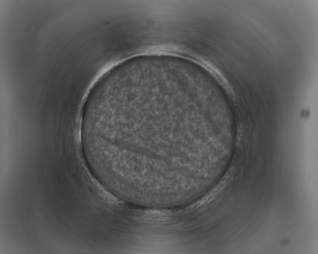 X0000097621224200803281029