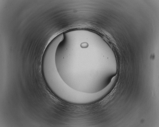 X0000097621226200803281029
