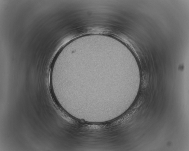 X0000097621227200803281029