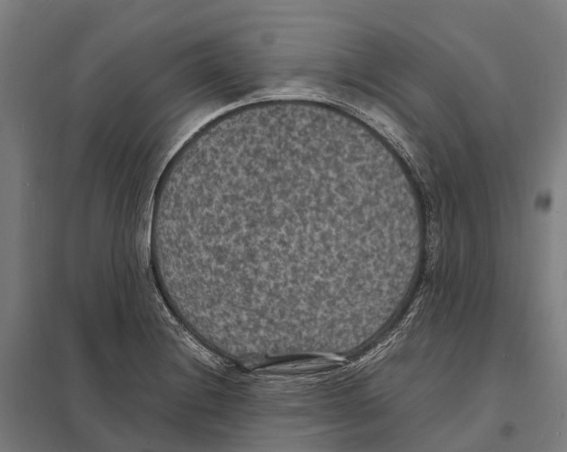 X0000097621228200803281029