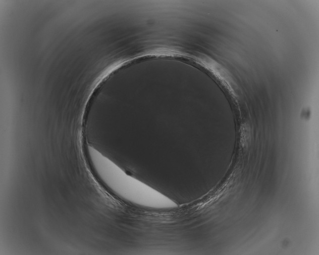 X0000097621229200803281029